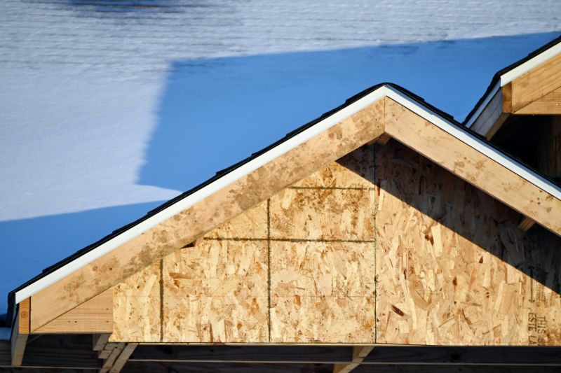 Garage Fascia Replacement in Conroe, TX