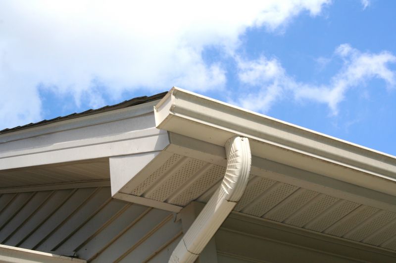 Metal Soffit Repair in Conroe, TX